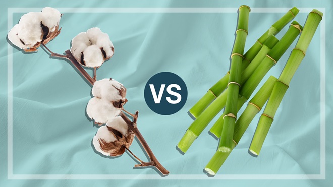 cotton_branch_and__bamboo_stalks
